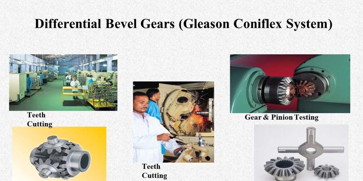 Differential Bevel Gear
